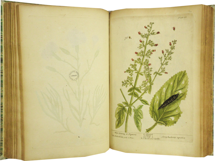 Herbal book